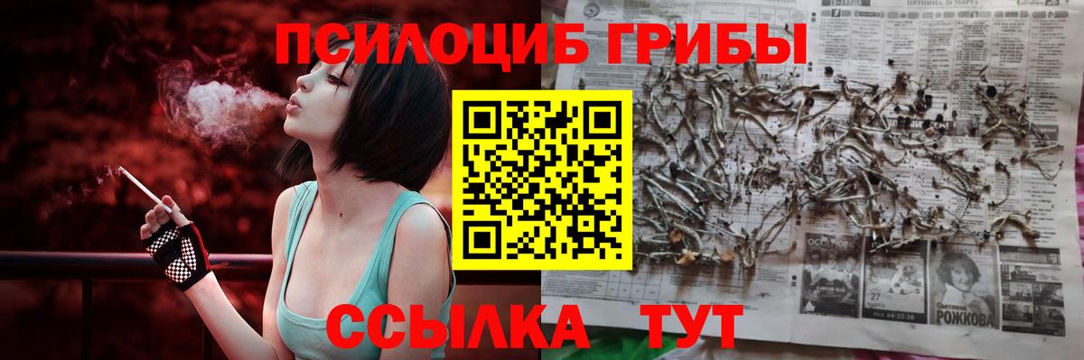 Галлюциногенные грибы GOLDEN TEACHER  Вход с VPN  Мурманск  Галлюциногенные грибы мицелий 